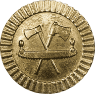 D = 45 mm