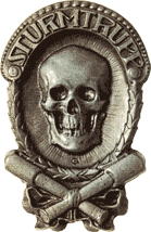 Знак штамповался из тонких пластин цинкового сплава (Kriegsmetall). 55 x 36 mm.